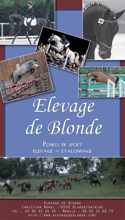 blonde-2013.jpg
