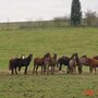 dsc03830.jpg