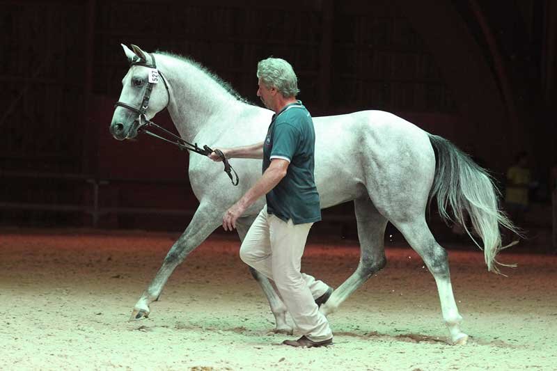 vito-lamotte-2012.jpg