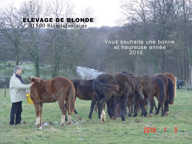 voeux-2010.jpg